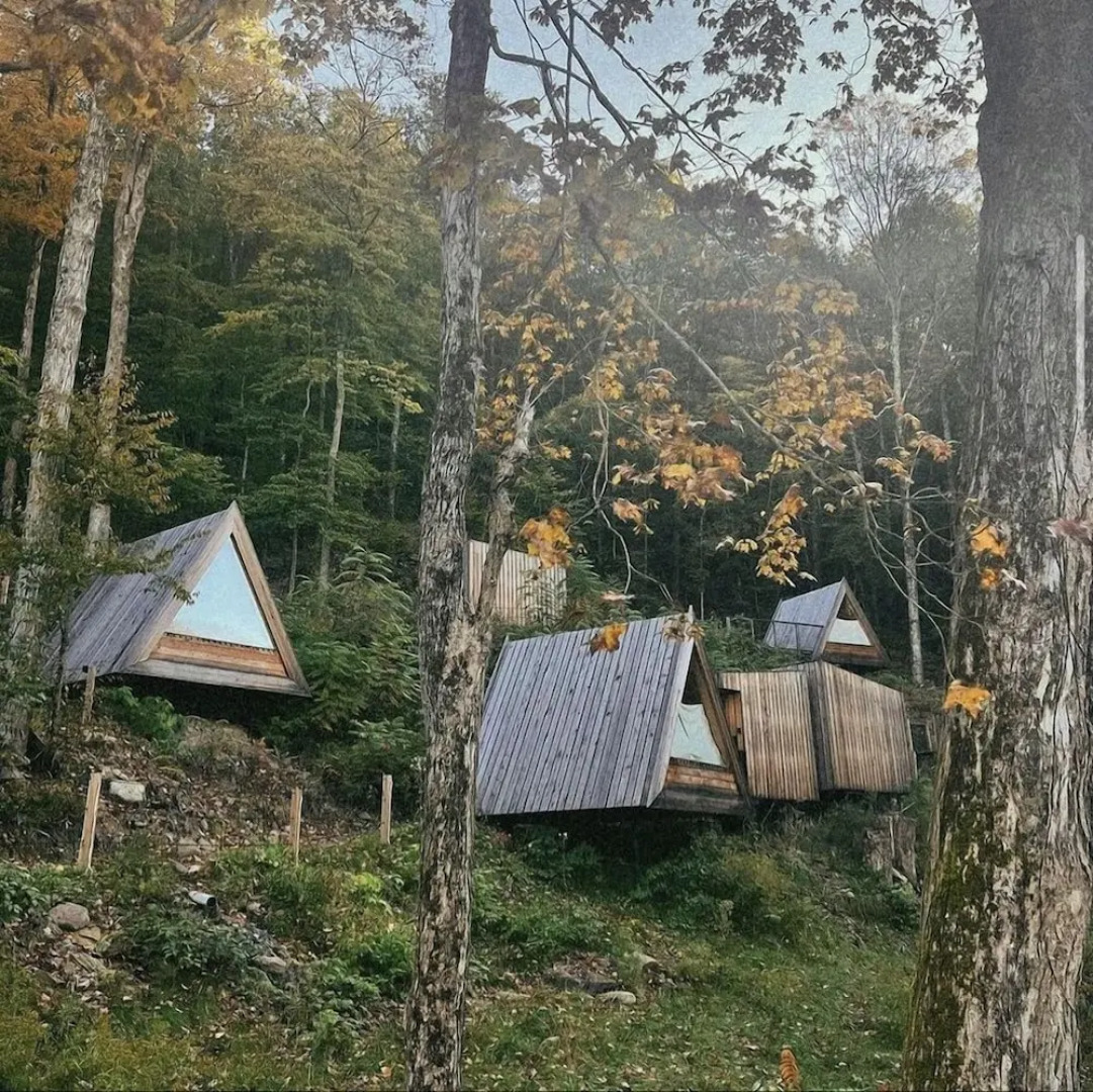 Eastwind Oliverea Valley