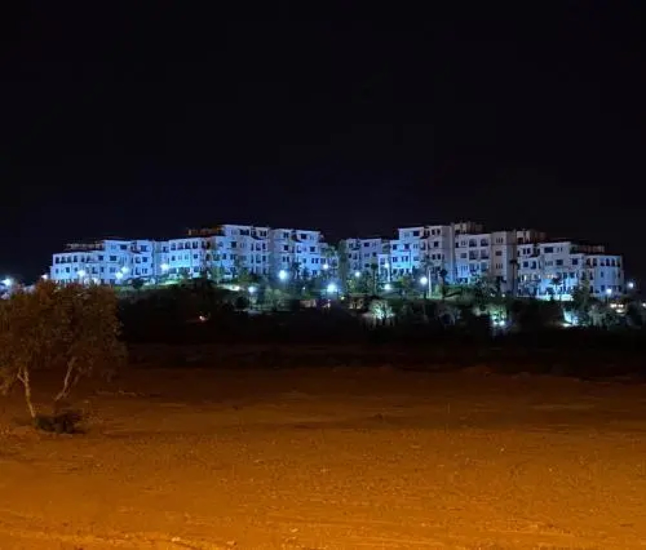 Lilac's Garden Cabo Negro