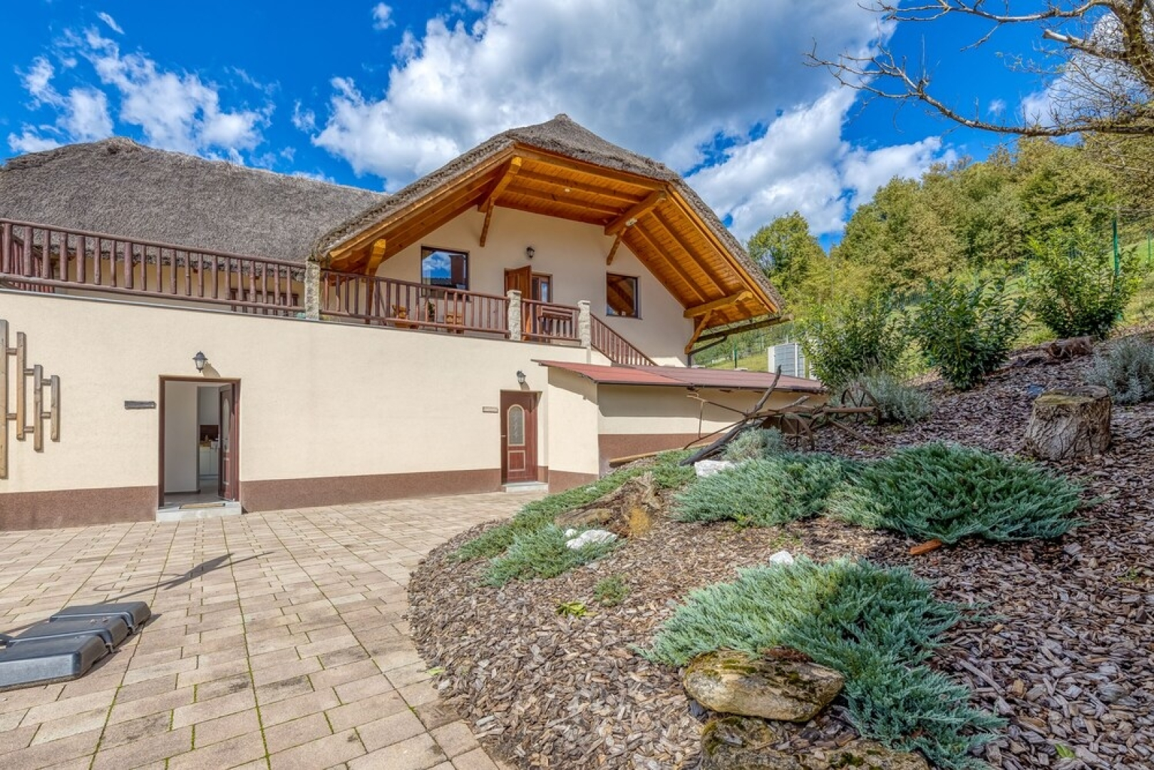 Pool Suite Sunflower