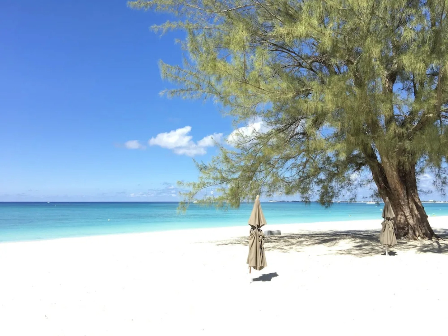 Casa Caribe Condominiums Unit 21