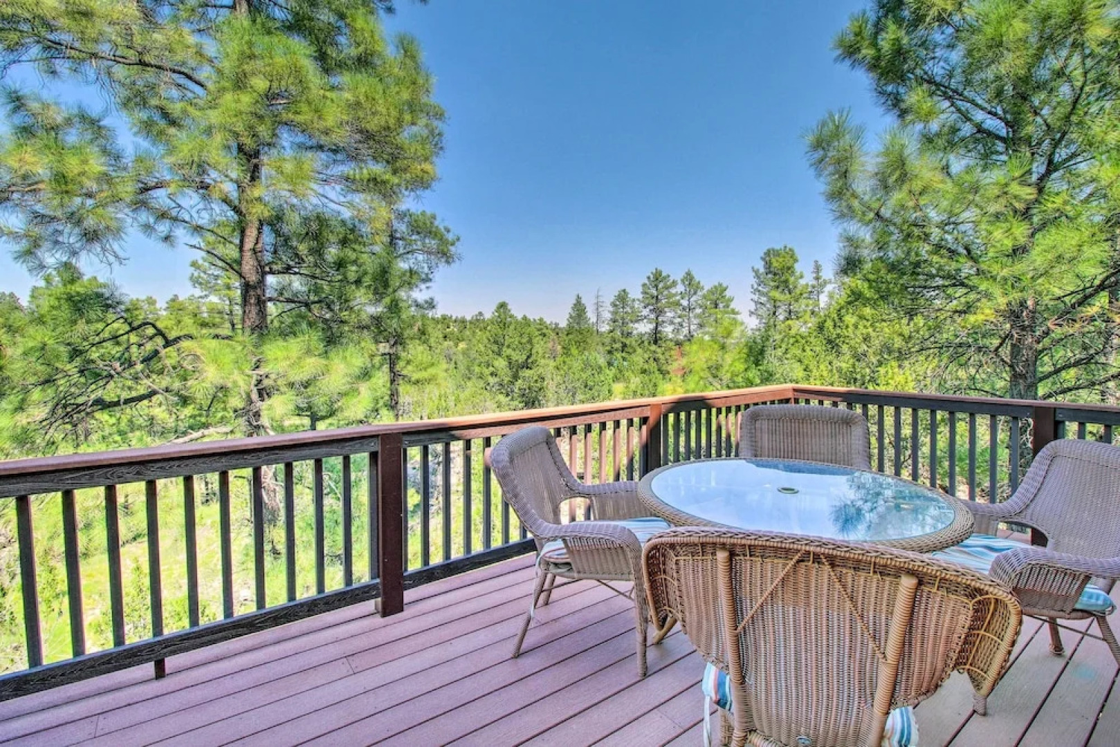 Serene Cabin: Coconino Nat'l Forest View!