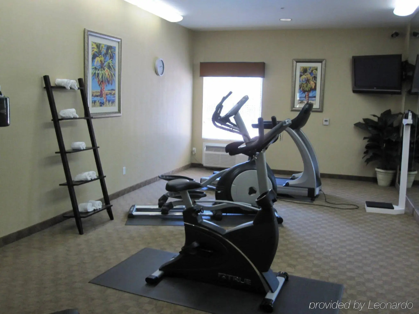 Holiday Inn Express Tampa N I-75 - University Area by IHG