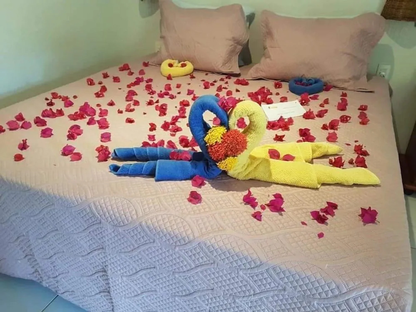 Pousada Casa Típica