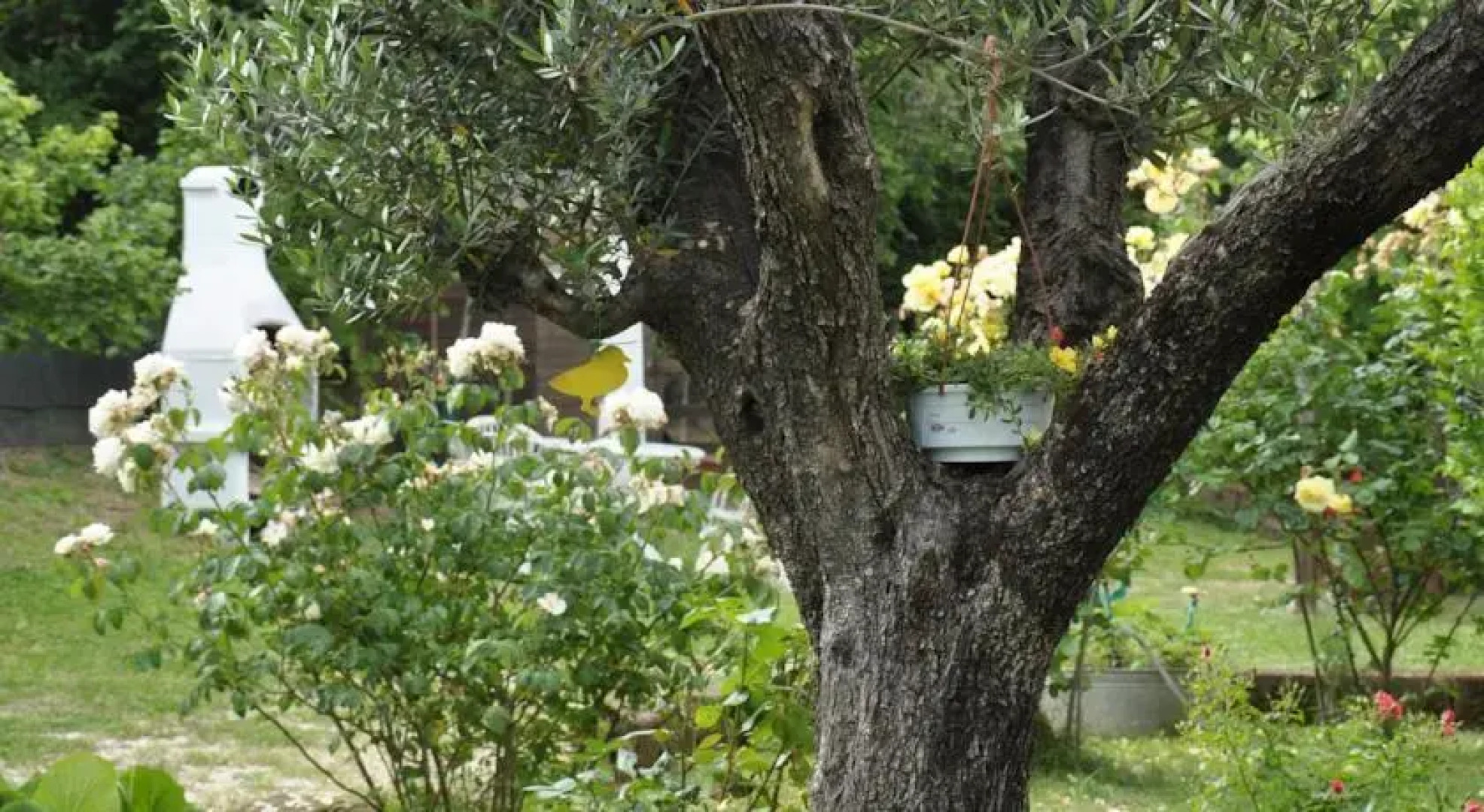 B&B Menica Marta Country House