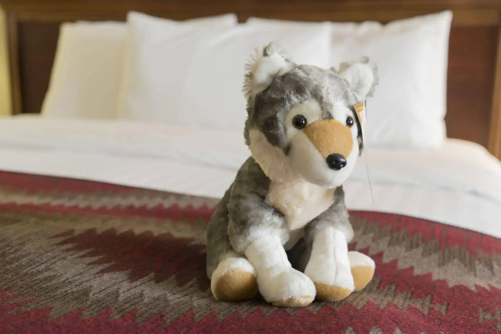 Yellowstone Park Hotel