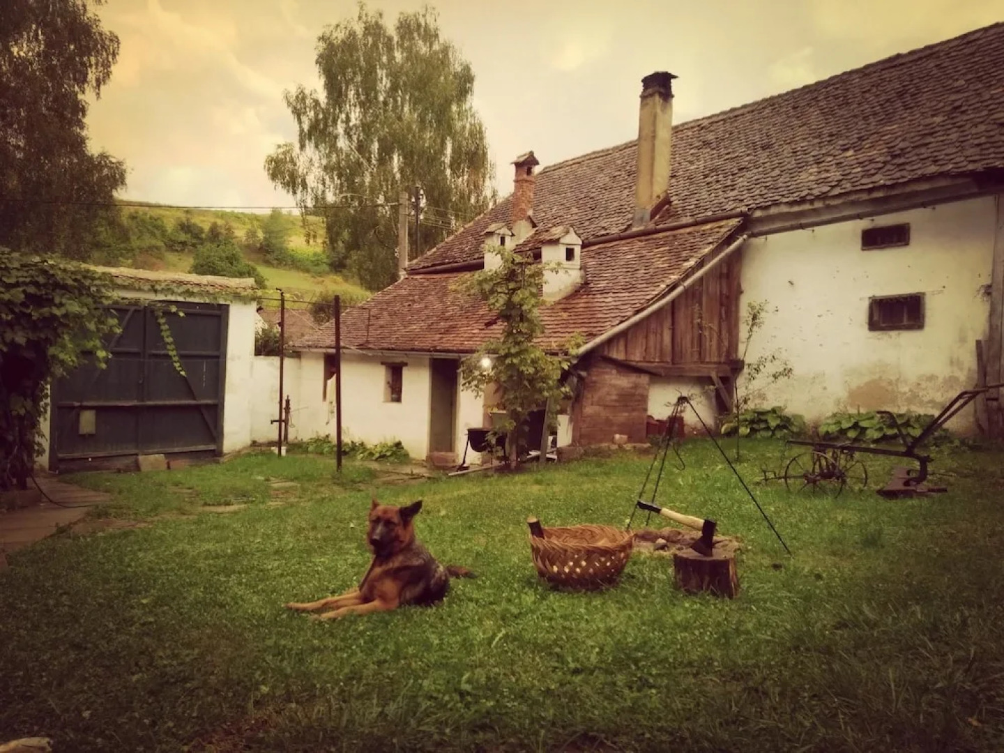 House With 2 Bedrooms in Richiș, With Enclosed Garden