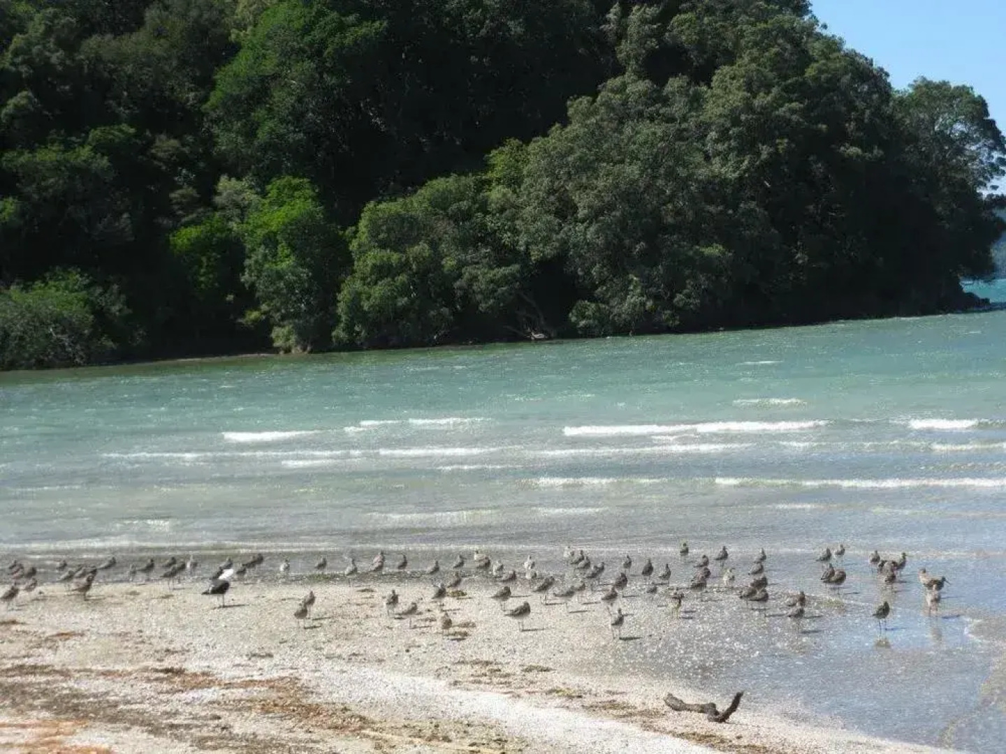 21 Hampton Bed & Breakfast