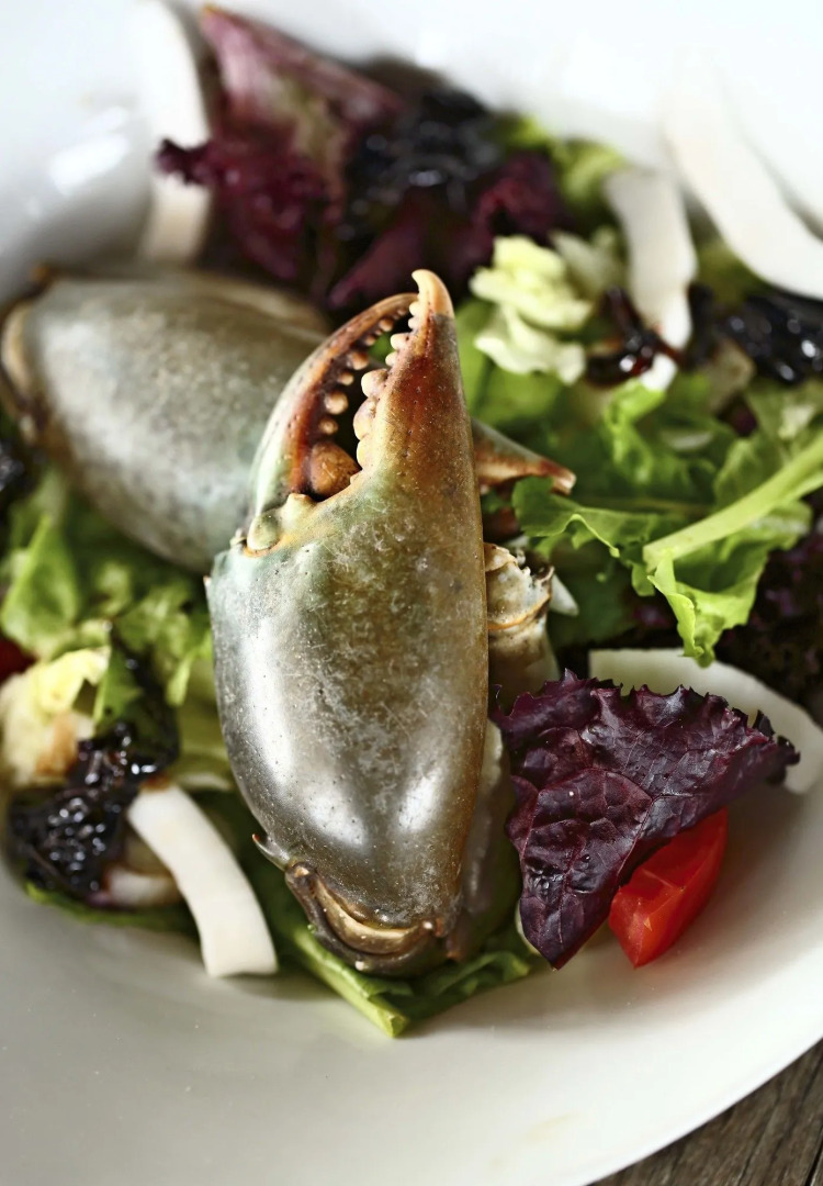 Matemwe Retreat - All Inclusive