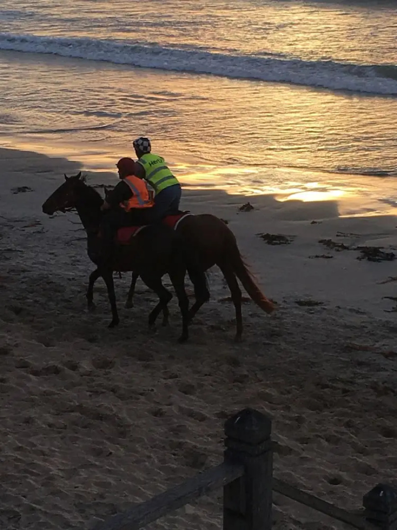 City Central Motor Inn and Apartments