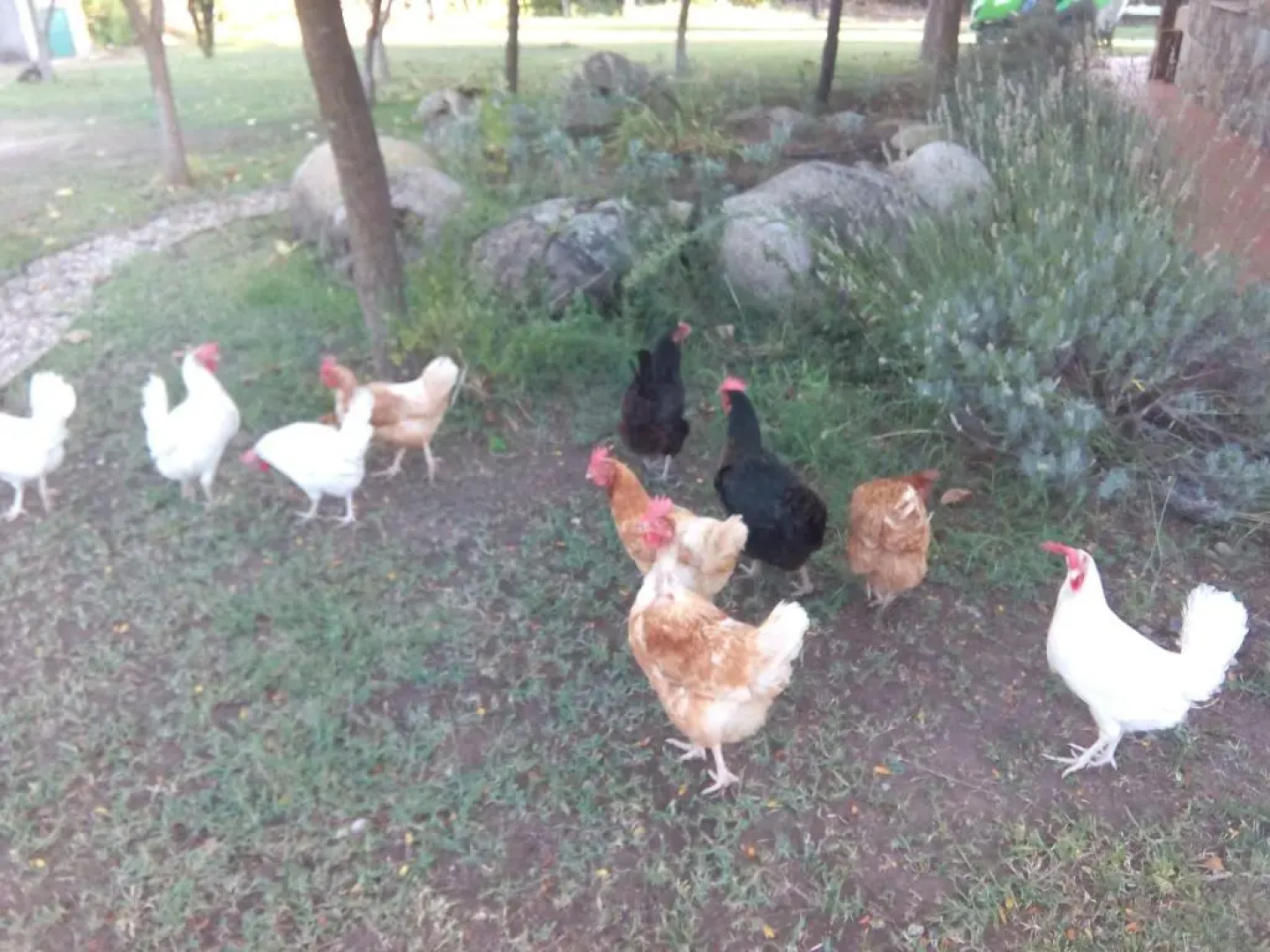 El Paso De Las Ciguenas