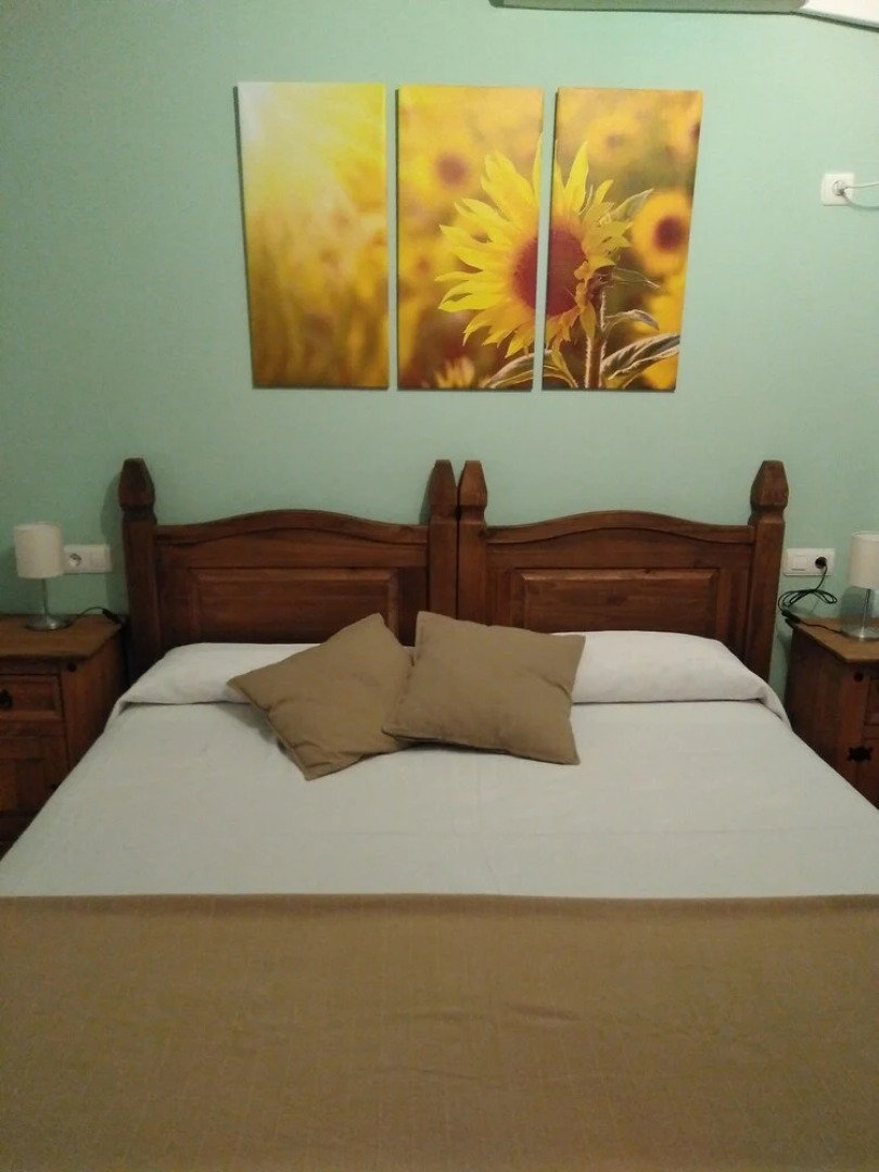 El Rincon de Vicente