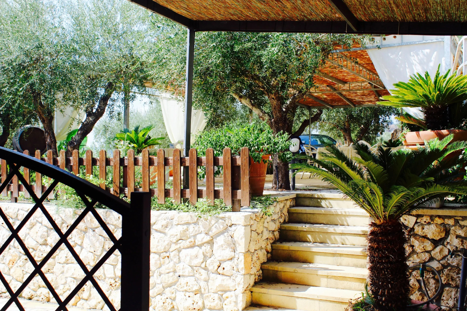 Amoru Bed & Breakfast