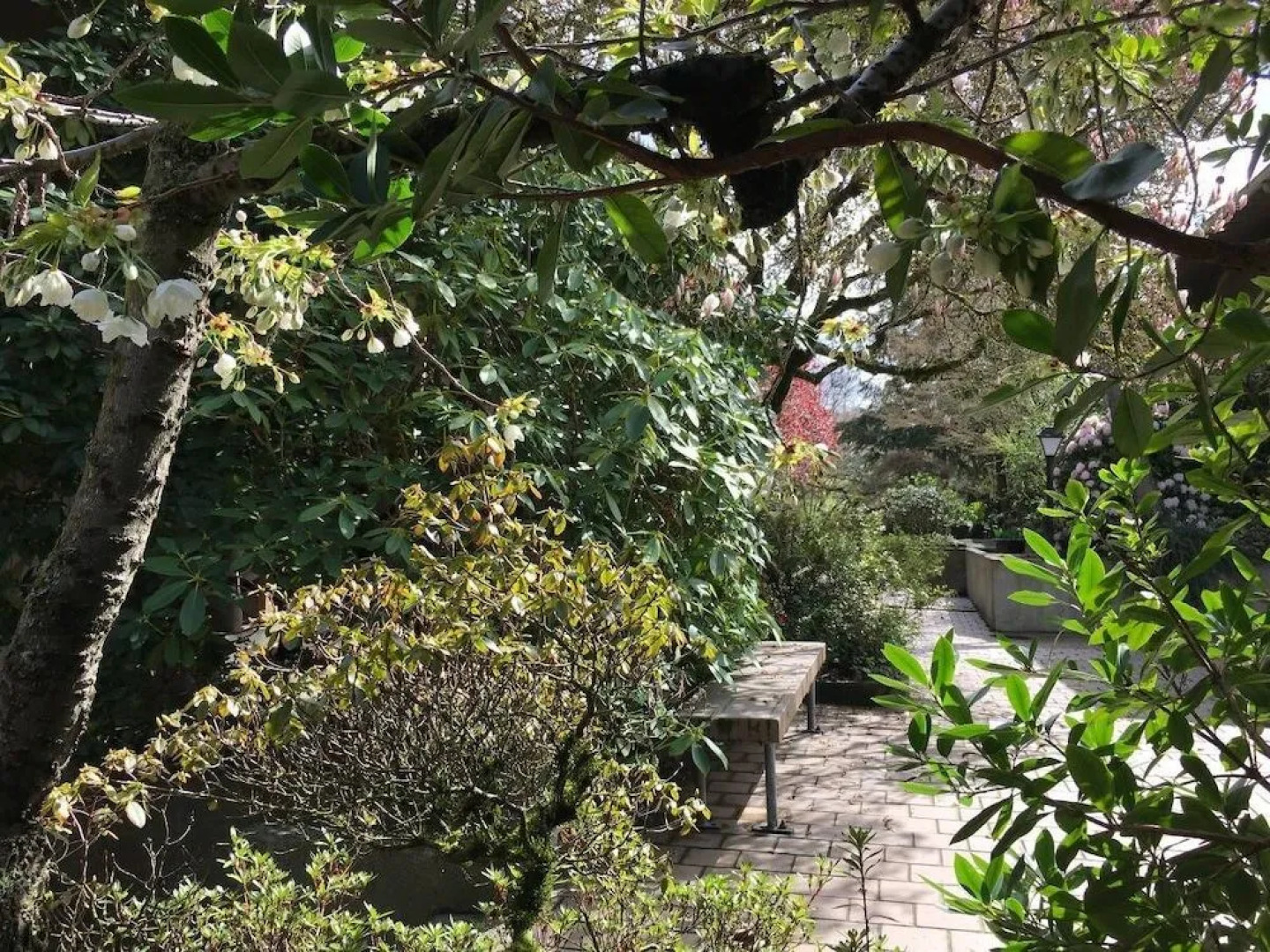 Escape at Eastside Condo and Townhomes