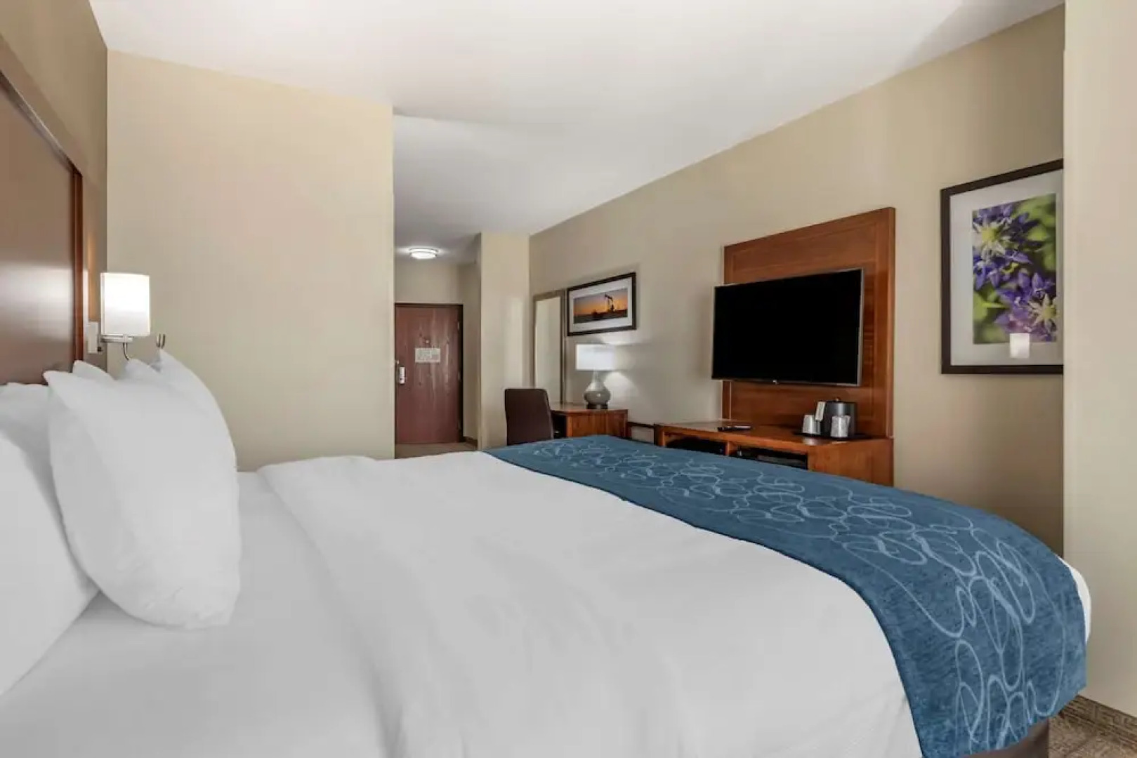 Comfort Suites Buda - Austin South