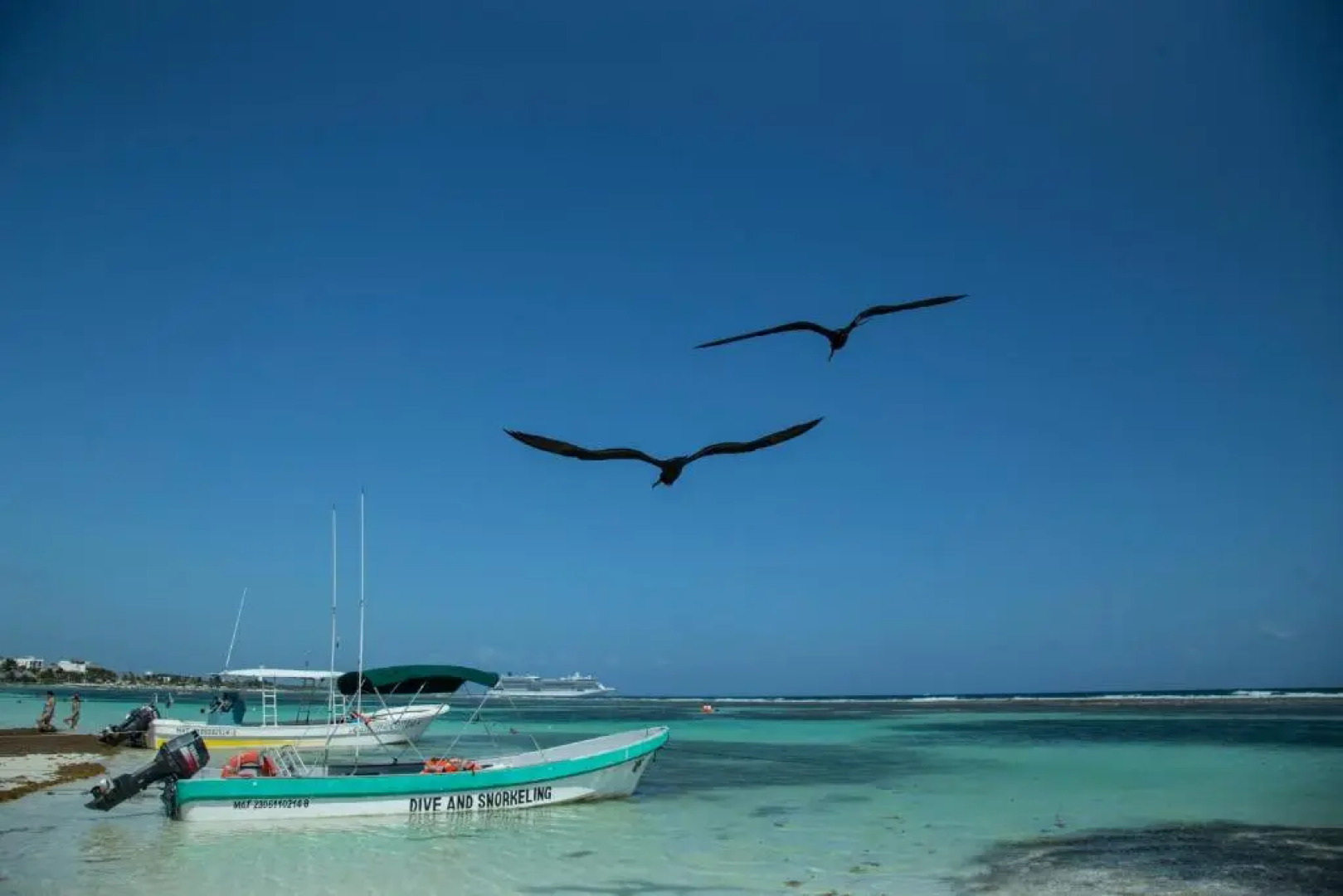 Apartments Tukano By 40 Cañones