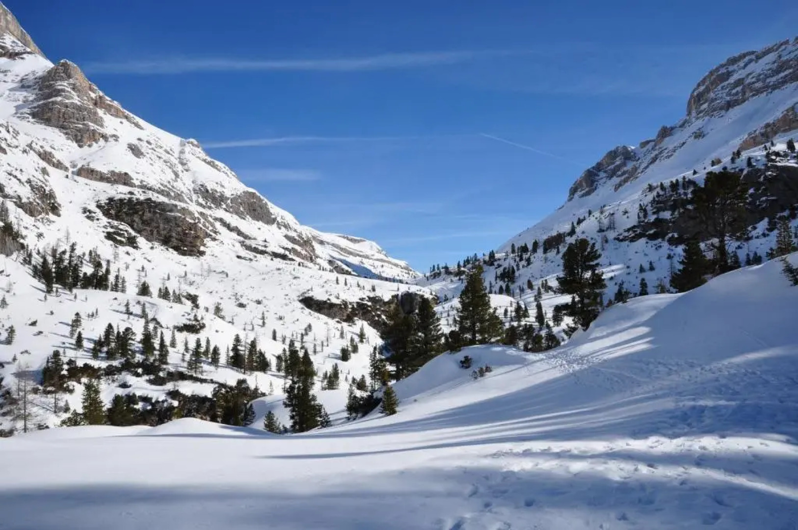 B&B Apartments la Palsa