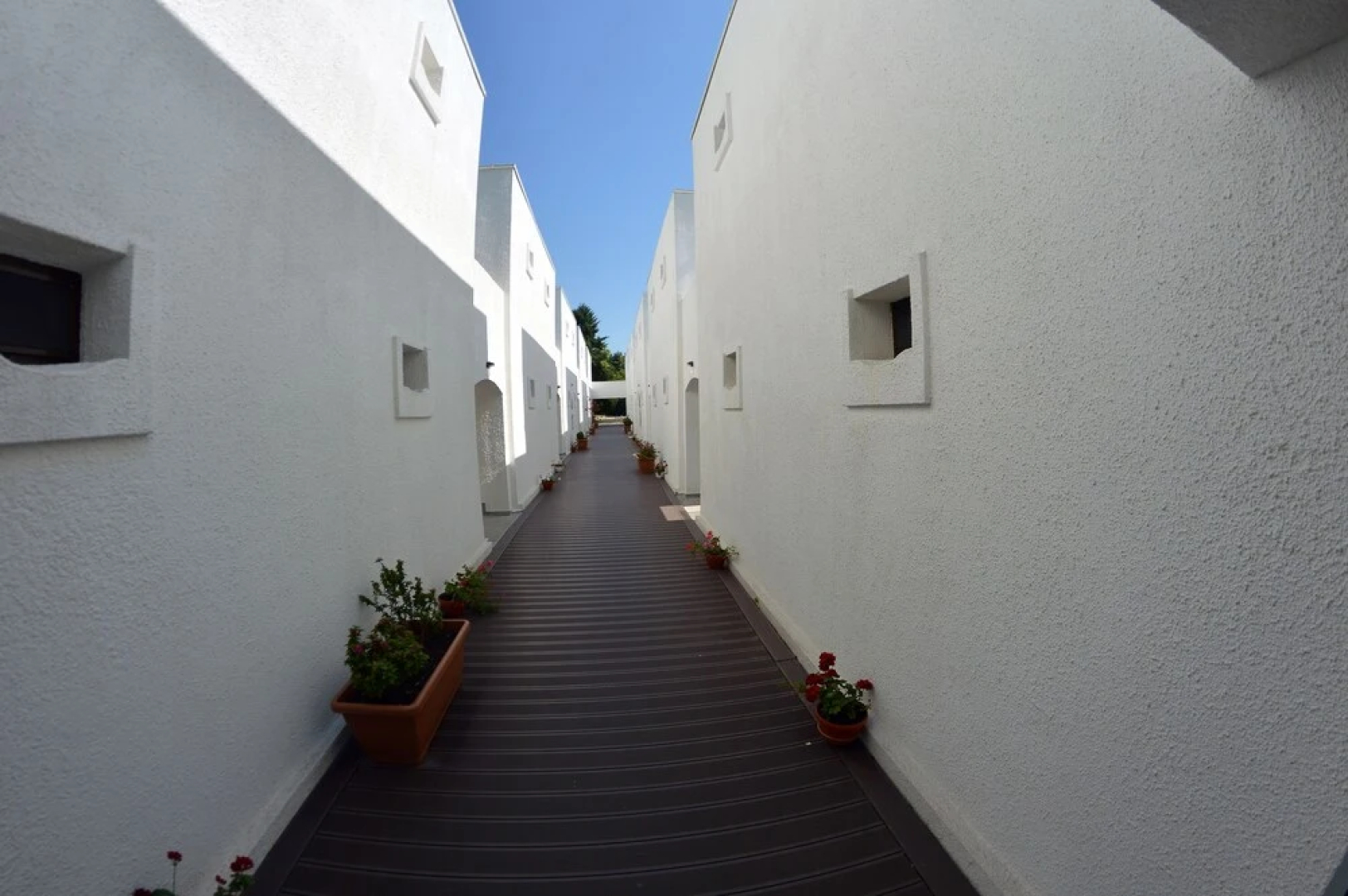 Mera Resort Venus