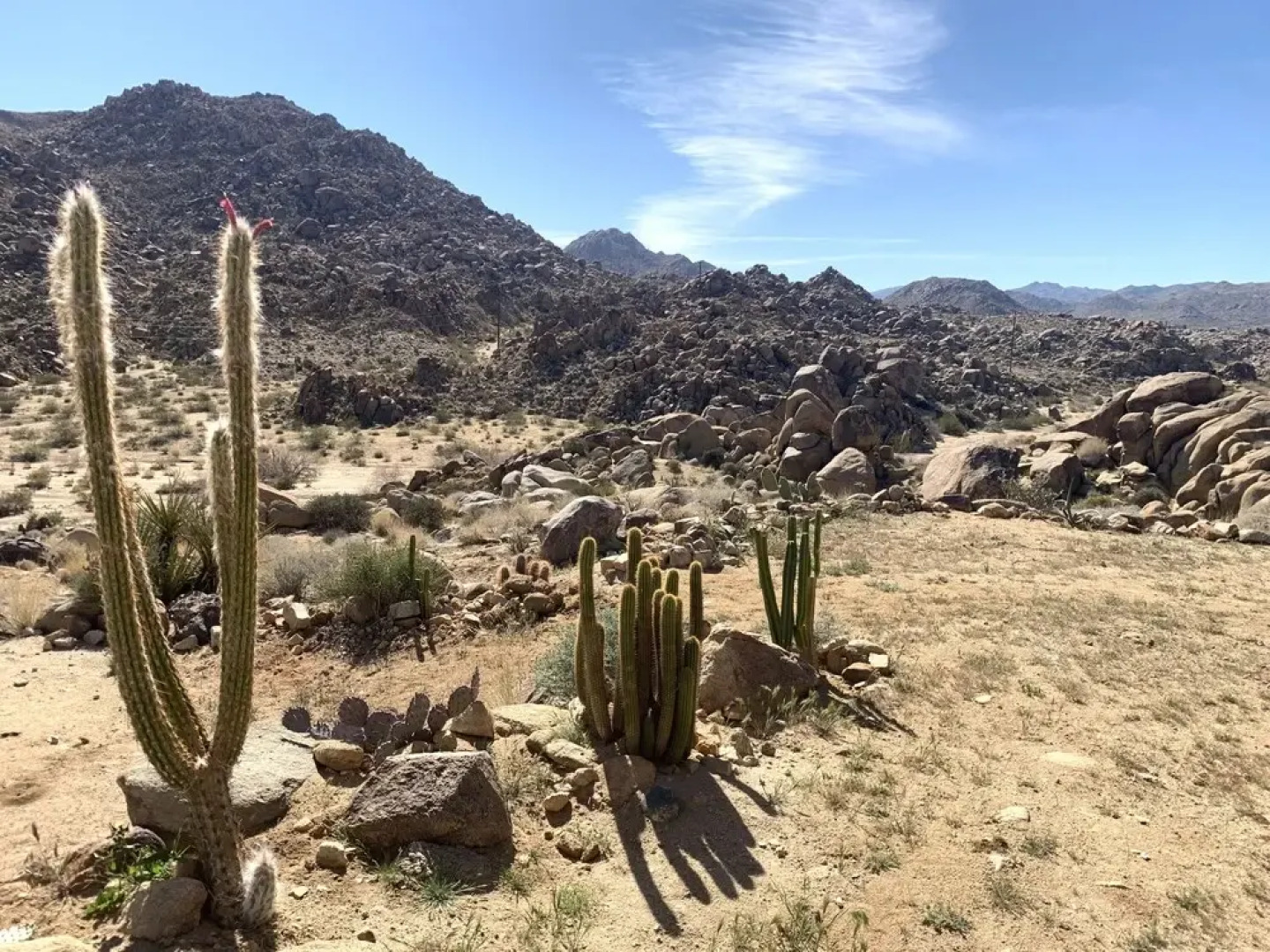 Rock Box - Modern Adobe Nestled In The Boulders Above Coyote Hol 3 Bedroom Home by RedAwning