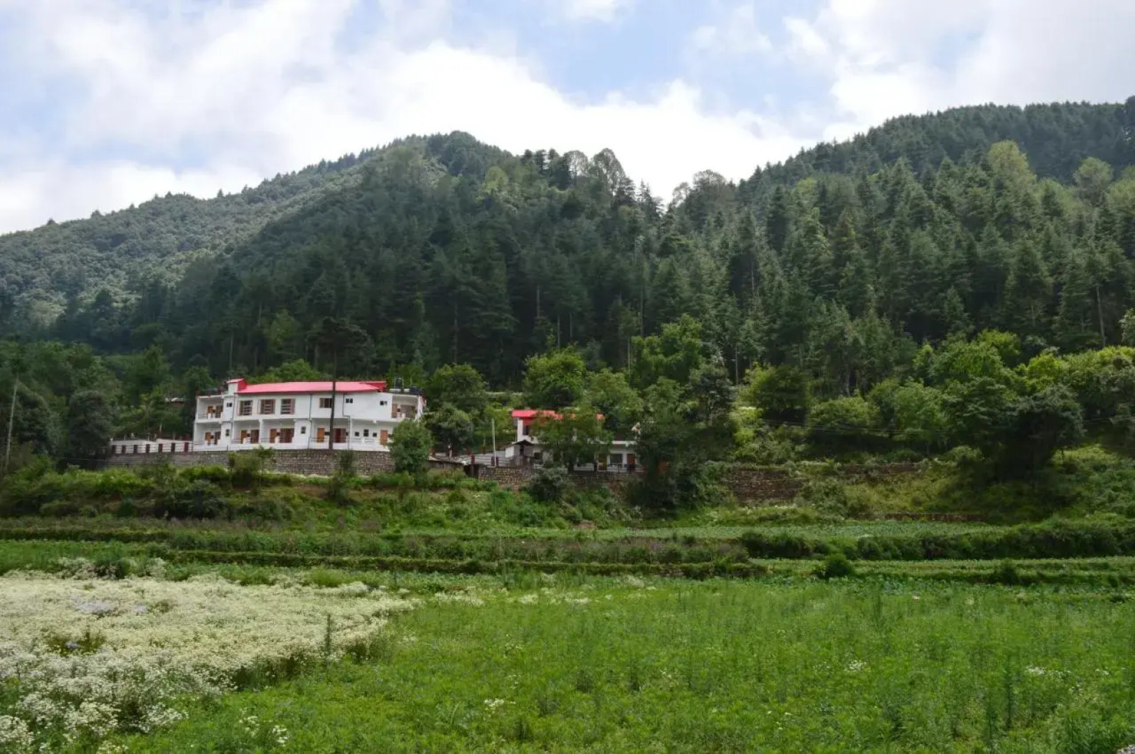 Hotel Burans And Restaurant