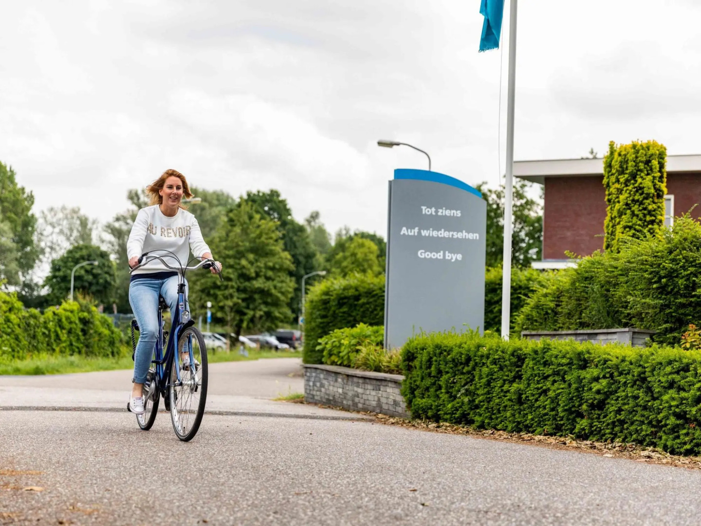 Modern chalet with sauna and spa, on a holiday park in a wetland area