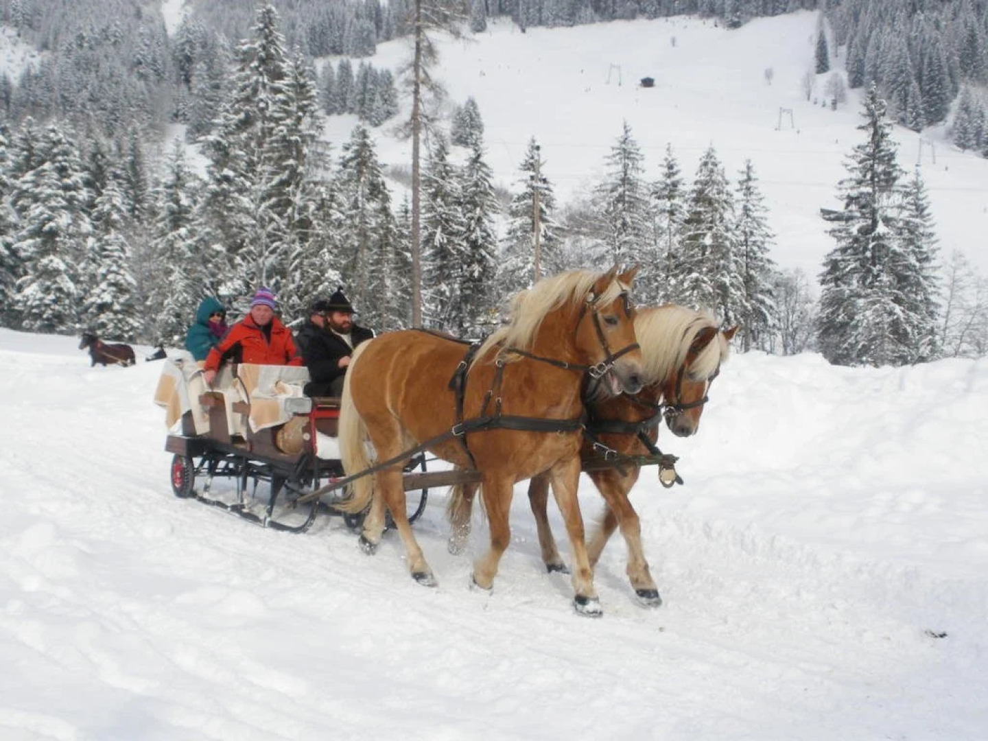 Apartments Alpenfrieden