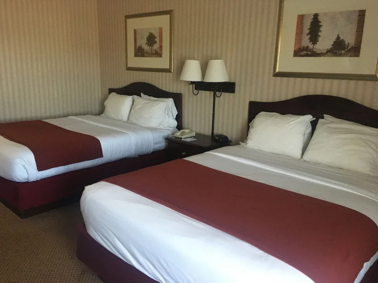 Mountain Inn & Suites - Erwin / I-26 at Exit 40