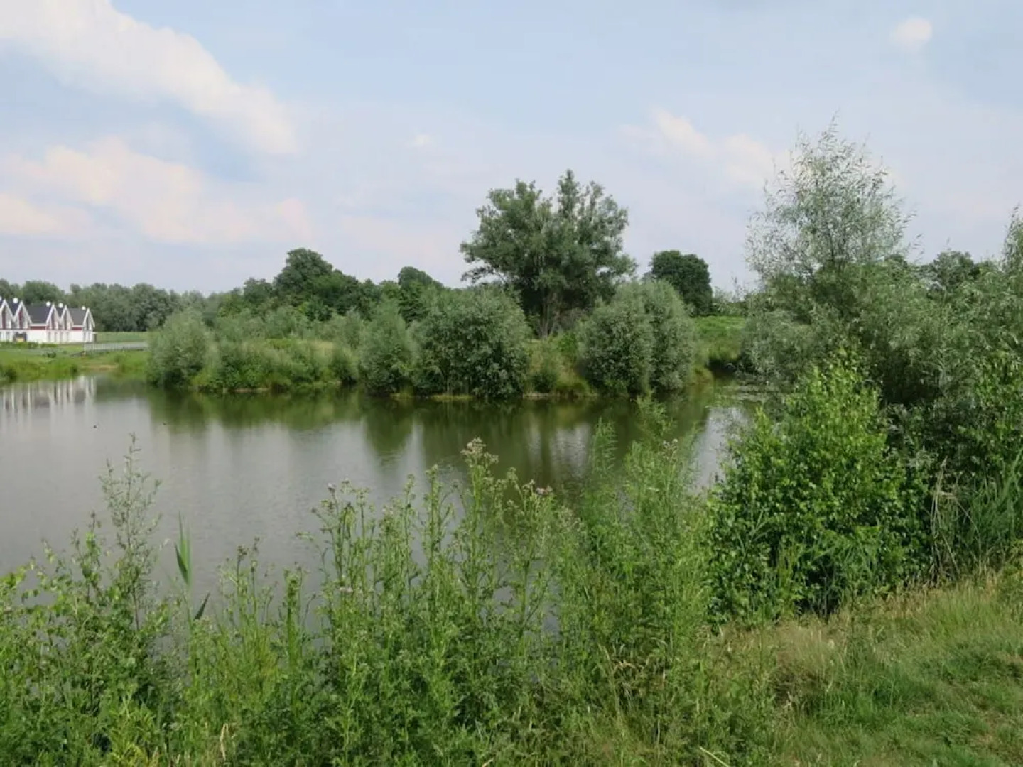 Cosy Apartment by the Lake