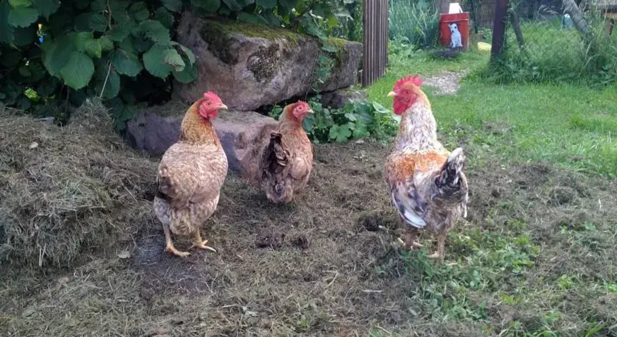 Le Gîte d‘Alice et André