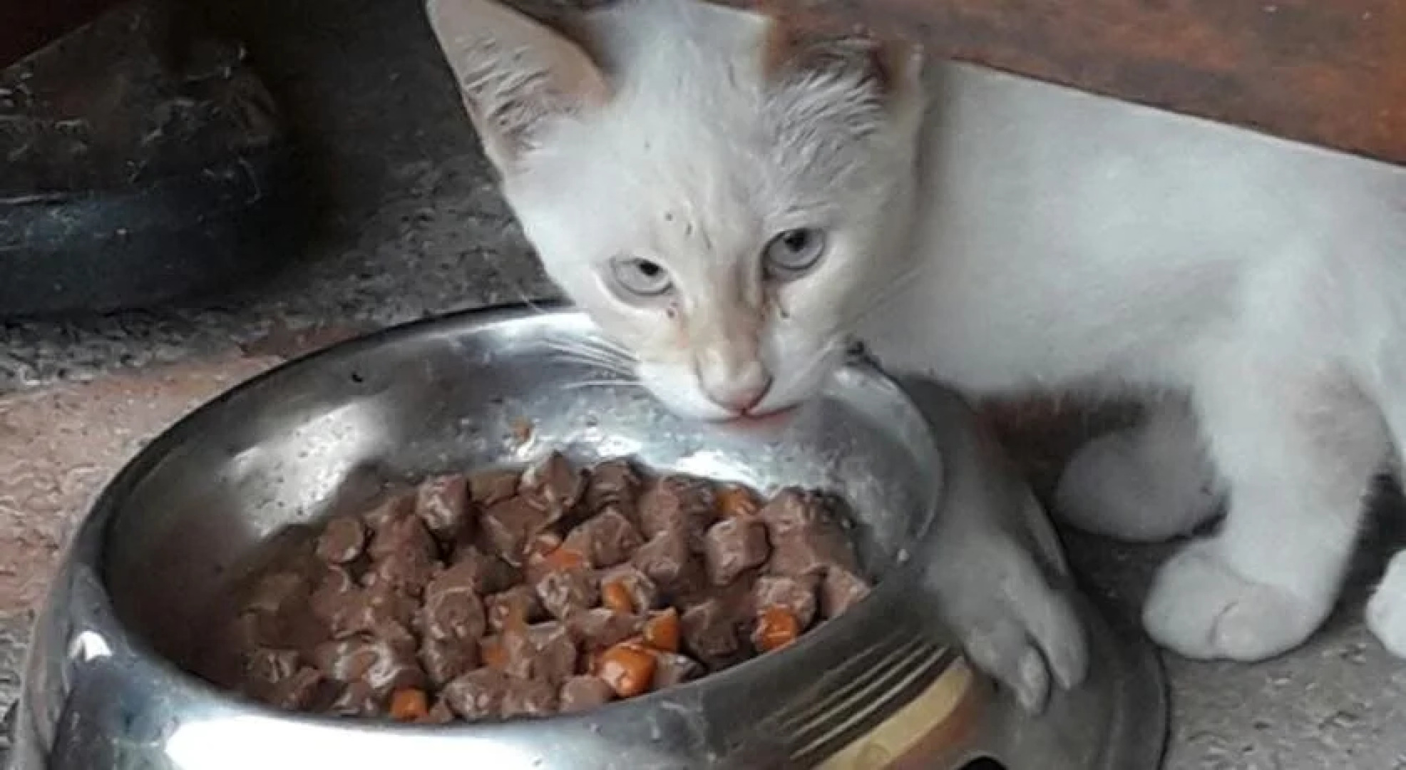 Hotel Apartamentos La Montañesa