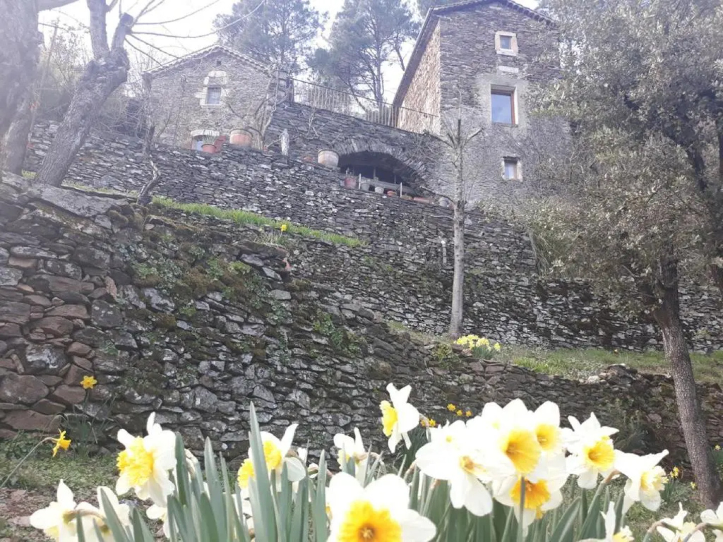 Le mas des sources cévenol