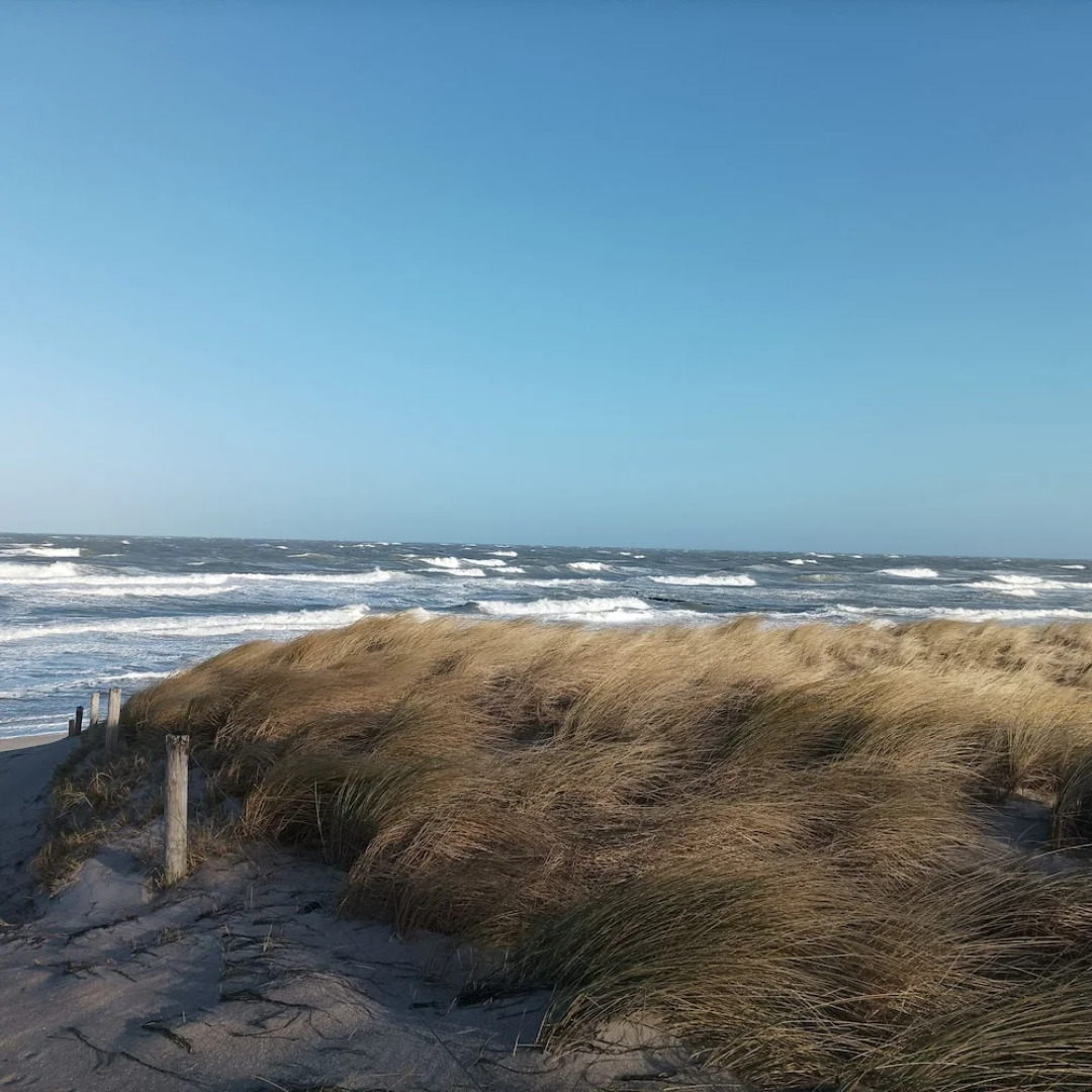 Schlösschen Sundische Wiese