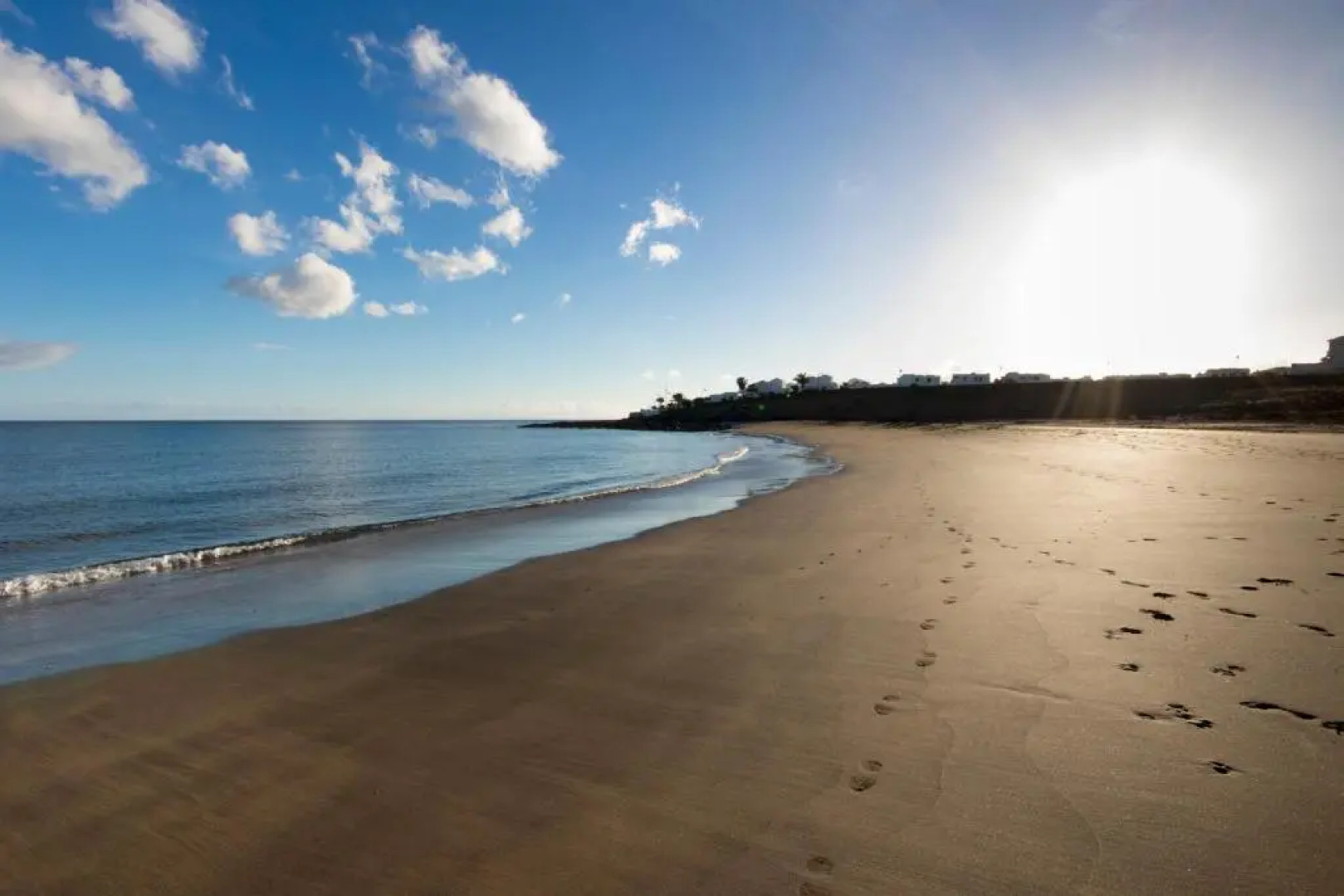 Flower Beach Lanzarote