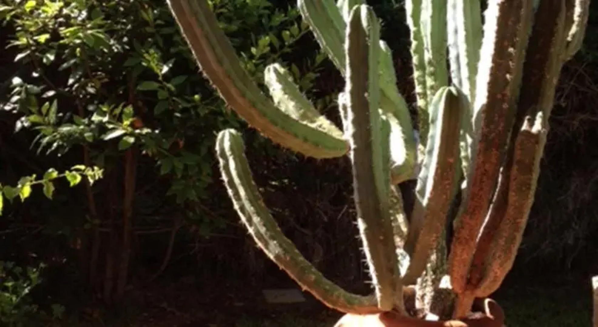 Salento Living Seaside