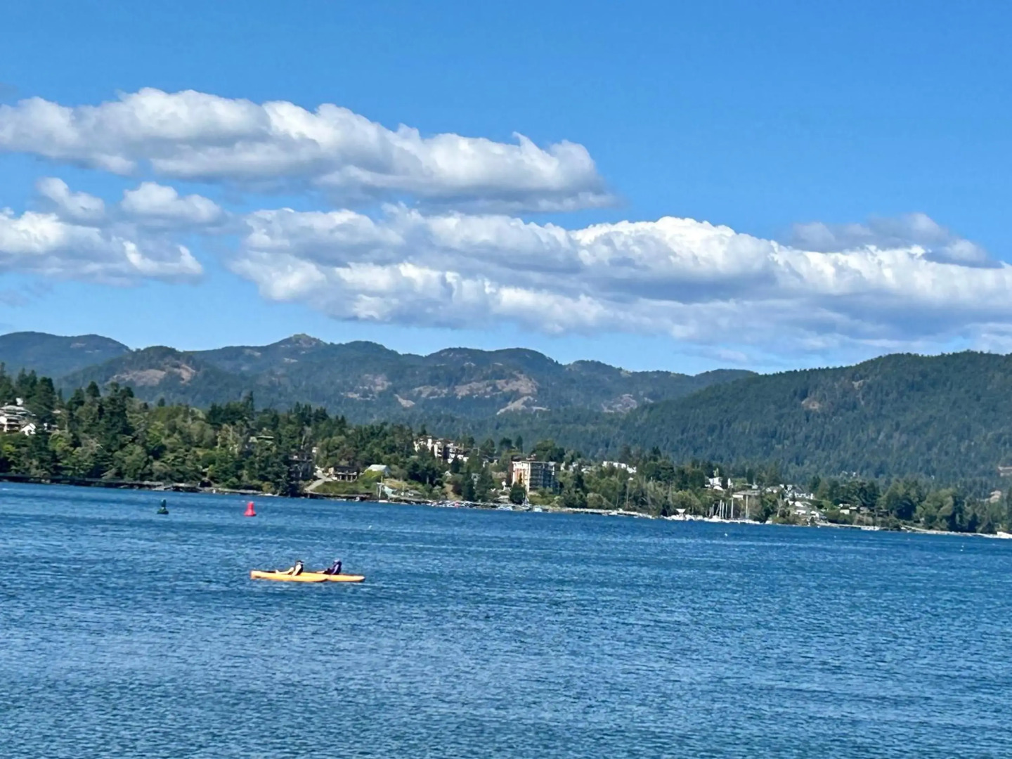 Seagull Studio Vacation Guest Suite