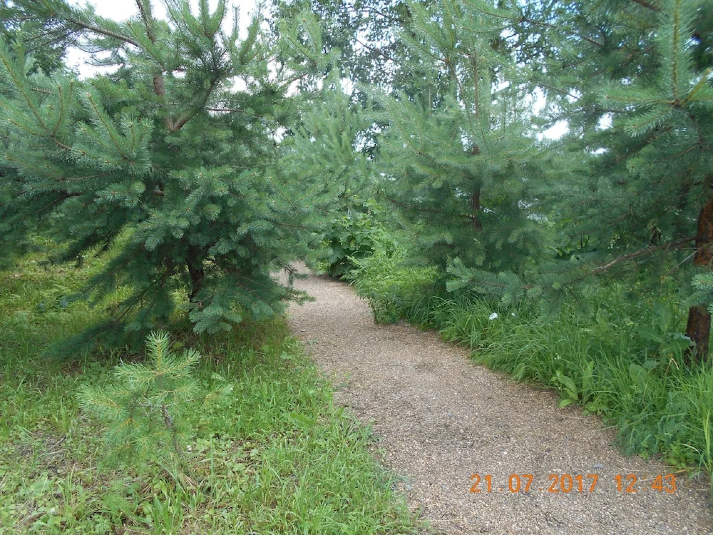 Park-Hotel Diyevo Gorodishche