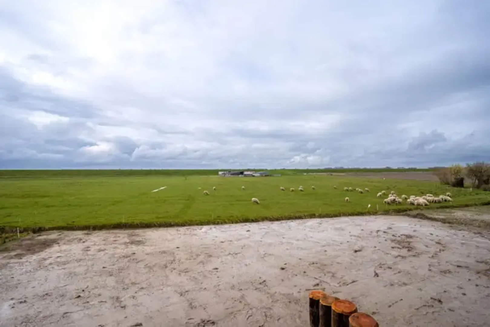 Doppelhaushalfte in Karolinenkoog