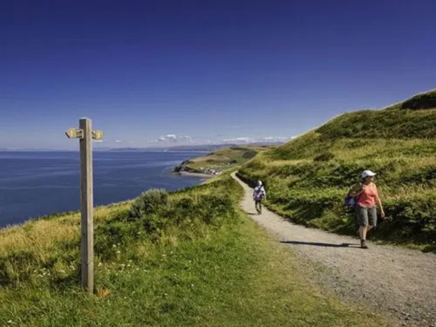 House Garthen Le Barcari?s