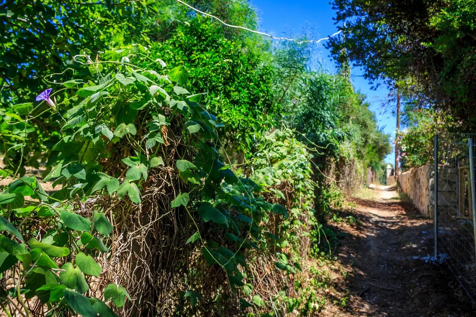 Porto Gerakas Villas & Apartments