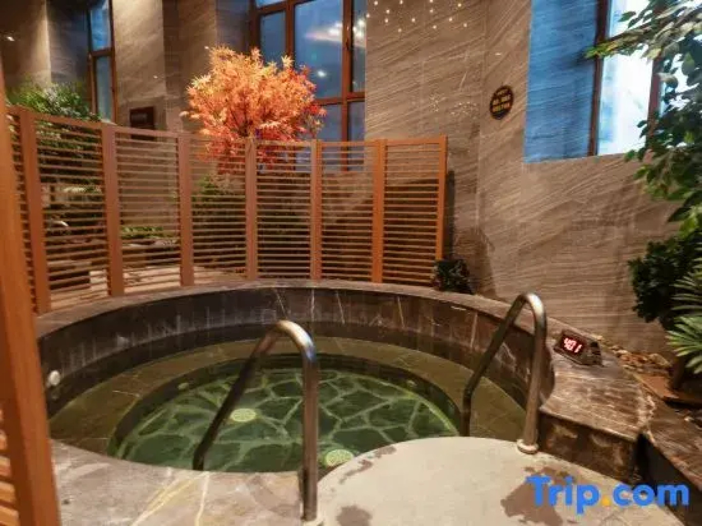 Tang Inn Hot Spring Holiday Hotel