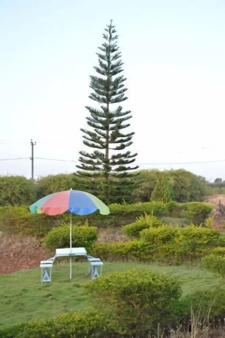 Zip by Spree Hotel Raashi Farm