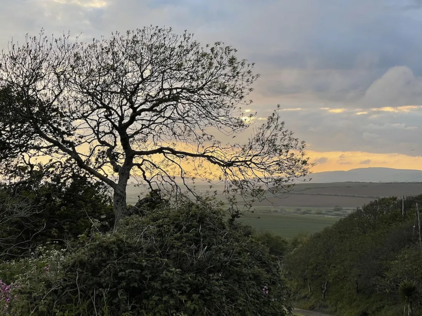 Bike Shed, 1-bed Cottage, Sleeps 2, Pet Friendly