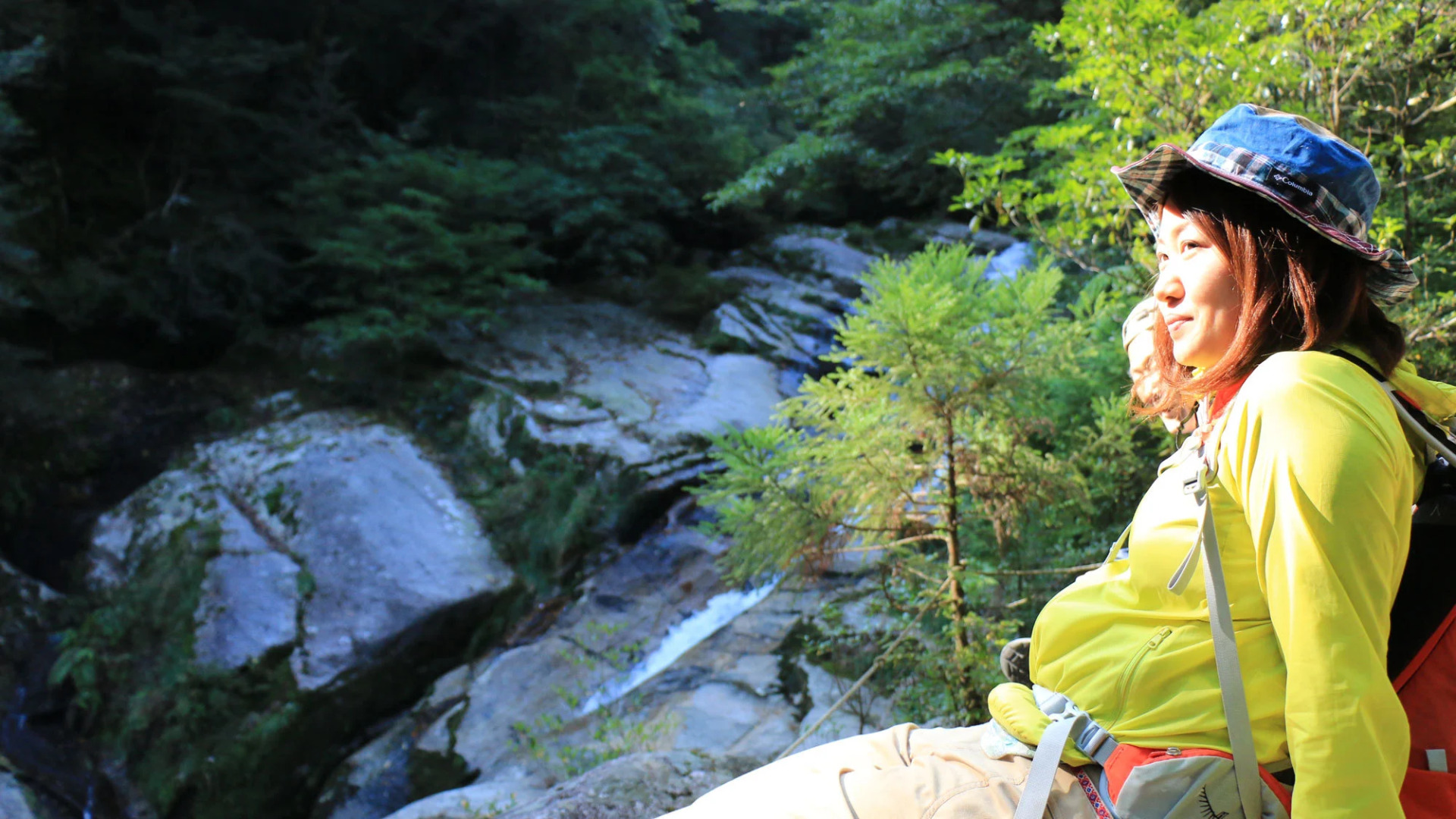 Minshuku Yakusugi-sou