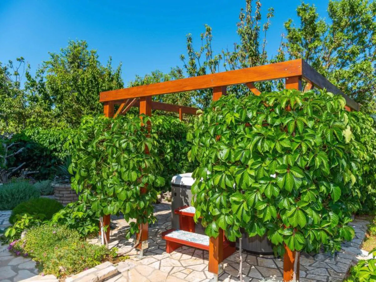 House Milka Novigrad (Zadar) 37621