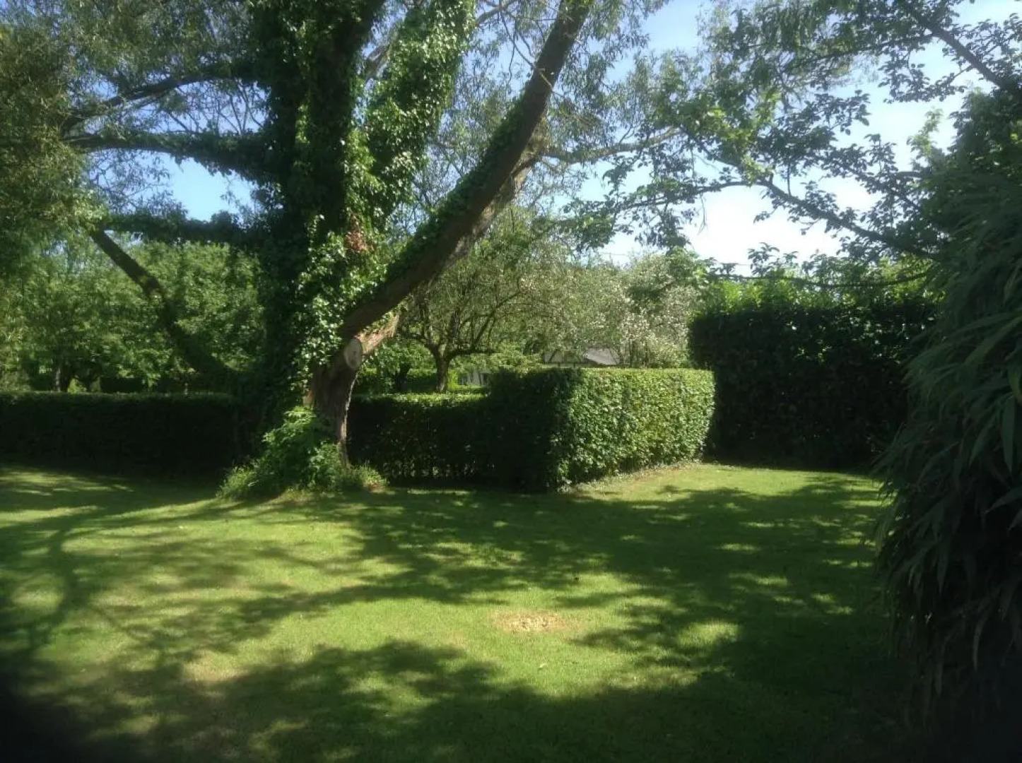 Charmante Petite Maison dans le Jardin