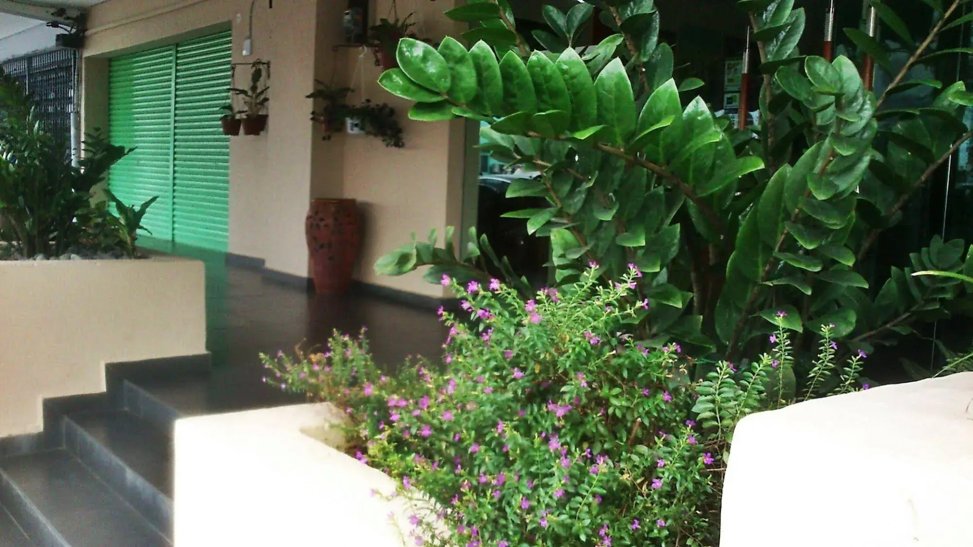 The Fern Lodge (Sanitized Stay)