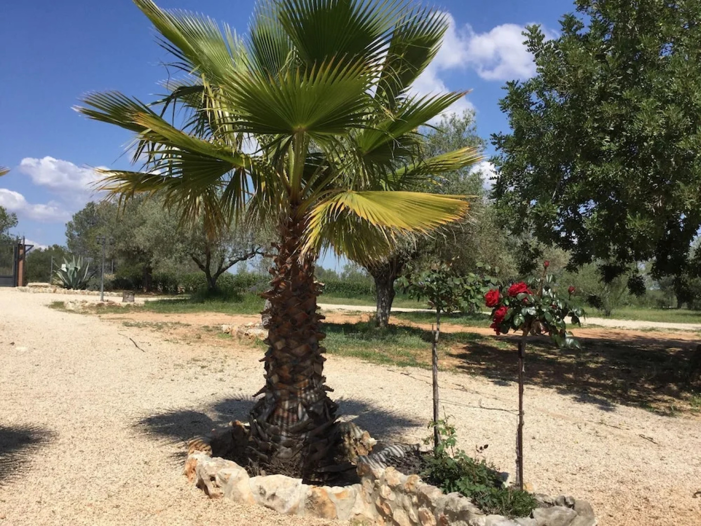 Child-friendly and Pet-friendly Villa in Chella With Private Swimming Pool