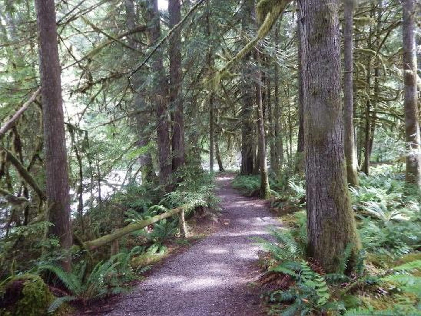 85SW Deluxe Family Condo w/ Balcony