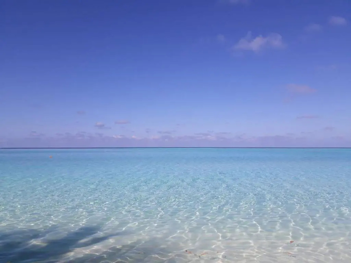 Thoddoo White Sand Inn