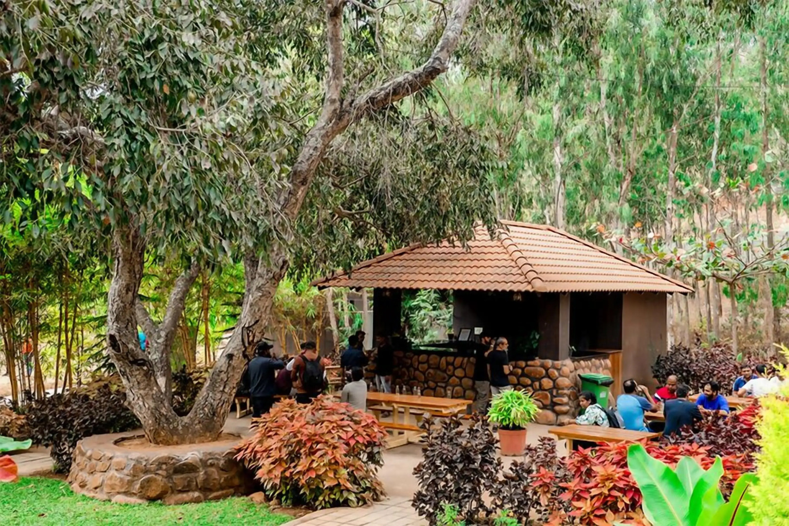 R D S Nature Retreat