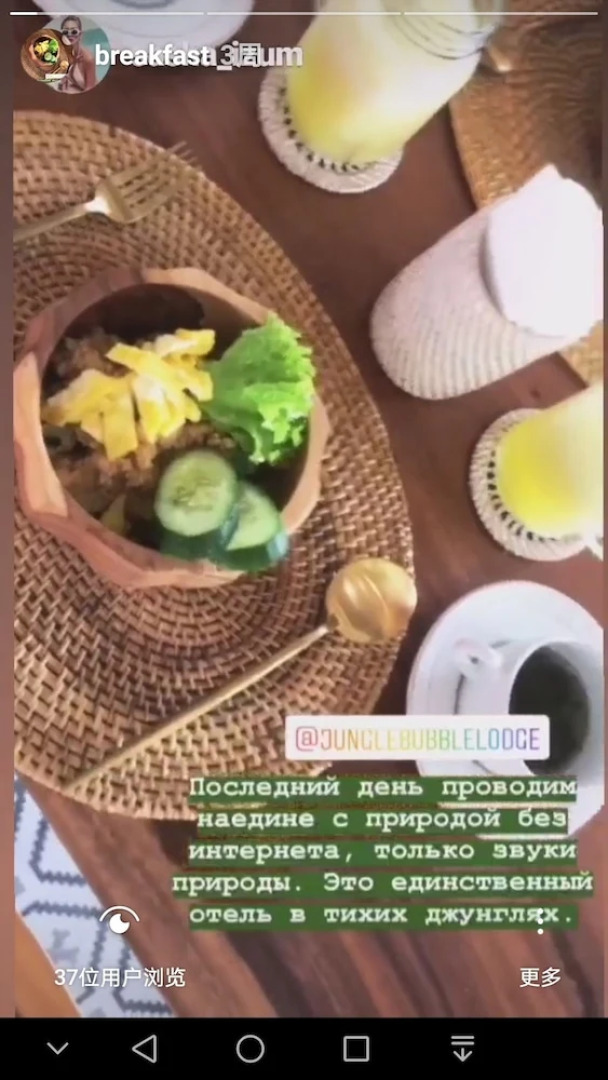 Jungle Bubble Lodge Ubud - Campsite